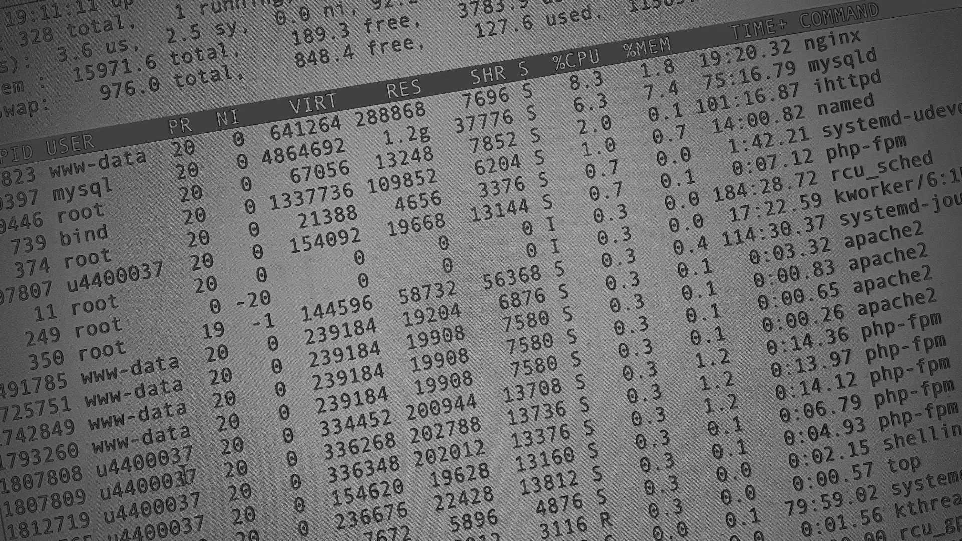 Настройка сервера в Козловке Настройка сервера в Козловке