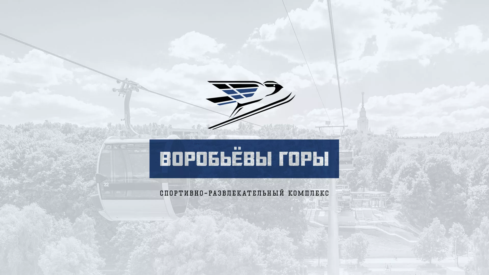 Разработка сайта в Козловке для спортивно-развлекательного комплекса «Воробьёвы горы»